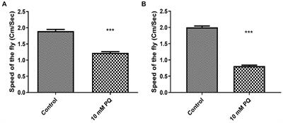 Fluorescence microscopy-based sensitive method to quantify dopaminergic neurodegeneration in a Drosophila model of Parkinson’s disease